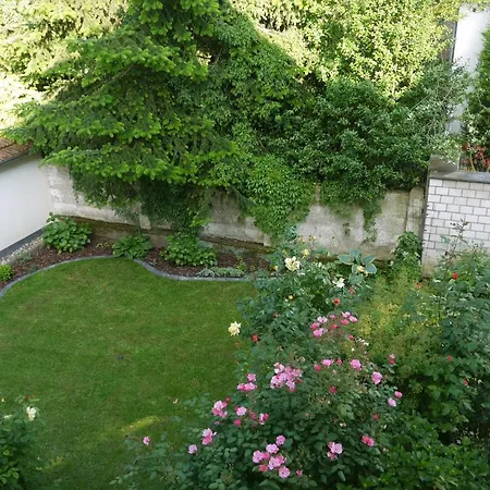 Haus Viktor 게스트하우스